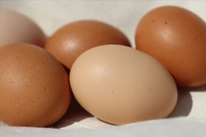 free range eggs
